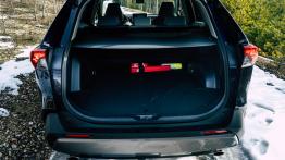 Toyota RAV4. Nadal w formie