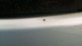 Opis techniczny Nissan Almera II