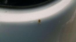 Opis techniczny Nissan Almera II