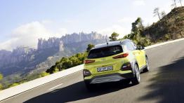 Hyundai Kona – Joker w talii
