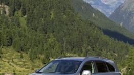 Chevrolet Captiva II - widok z przodu