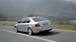 Skoda Octavia III - widok z tyłu