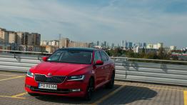 Skoda Superb – miejski wojownik 