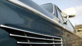 Nieogolony Azjata, rekin, batmobil