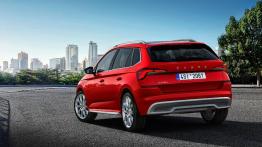 Skoda Kamiq - widok z ty?u