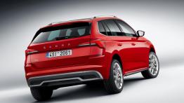 Skoda Kamiq - widok z ty?u