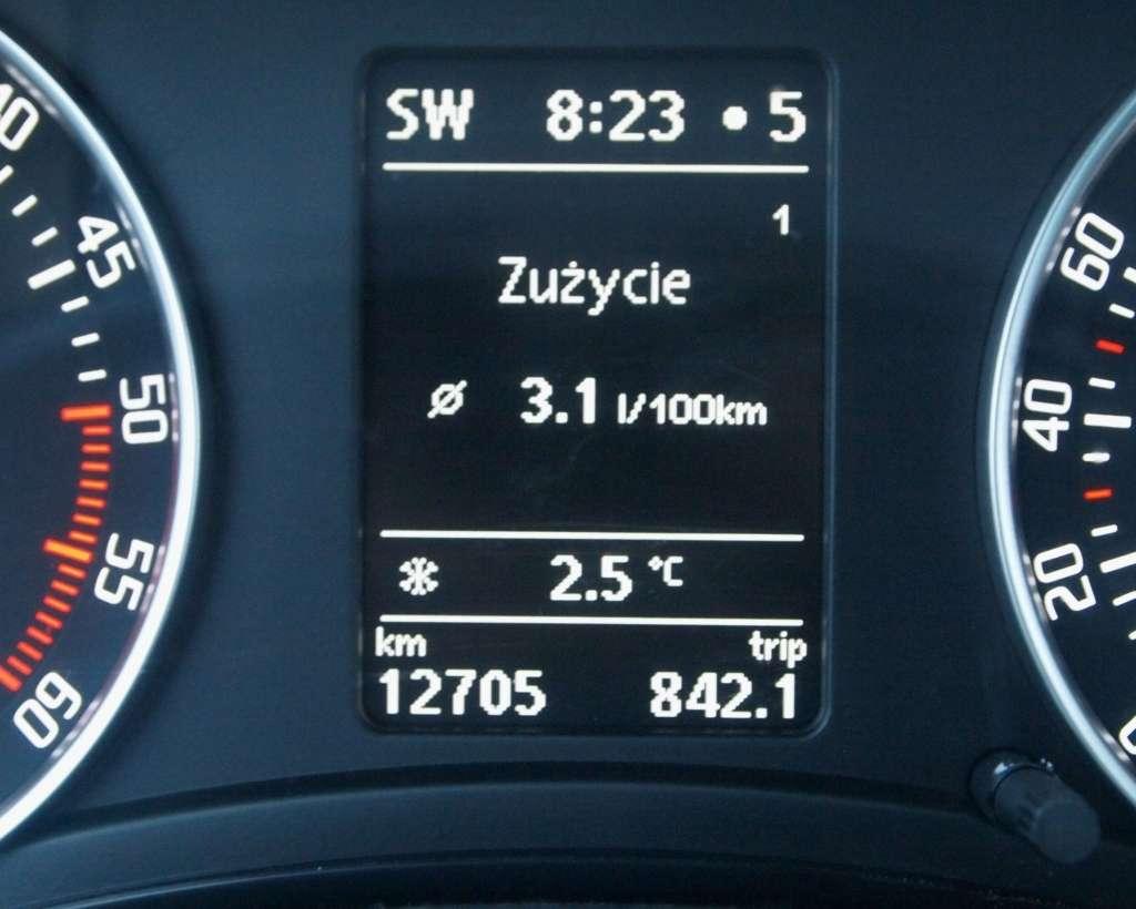 Sztuka oszczędzania. Jak zmniejszyć zużycie paliwa? • AutoCentrum.pl