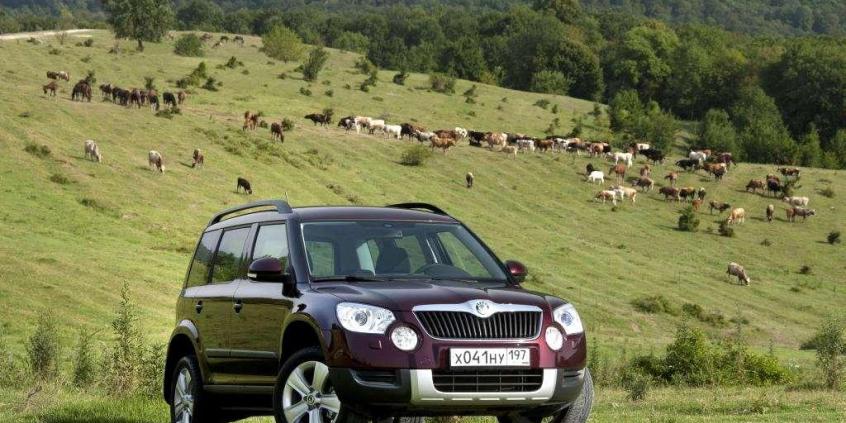 Skoda Yeti 1.8 TSI 4x4 DSG - miś ze wschodnim akcentem