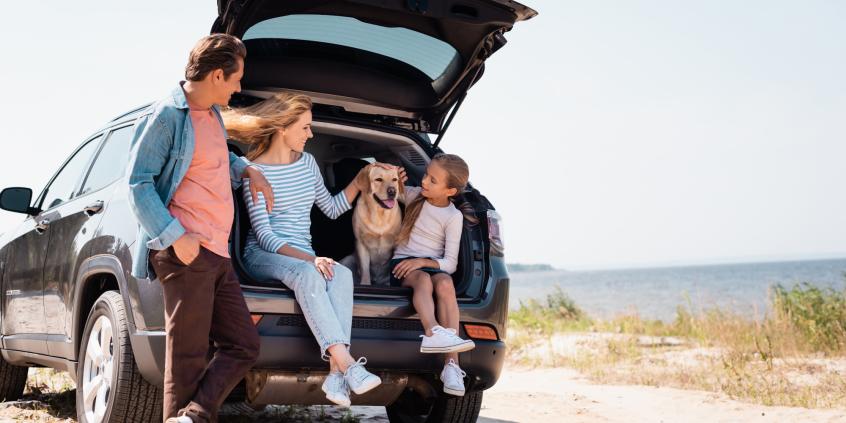 Odkryj piękno Pomorza Zachodniego za kierownicą. Najpiękniejsze trasy samochodowe w okolicach miasta