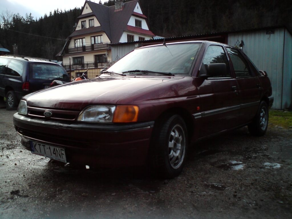 V Escorts
