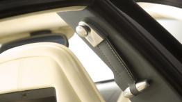 Aston Martin Rapide - inny element wnętrza z tyłu