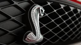 Ford Mustang Shelby GT500 - logo