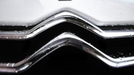 Citroen DS3 Hatchback 3D - logo