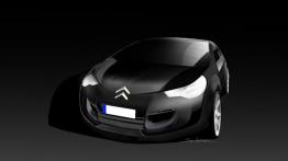 Citroen DS3 Hatchback 3D - szkic auta