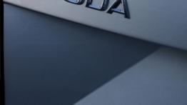 Skoda Rapid 2013 - emblemat