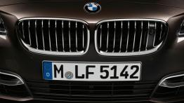 BMW serii 5 F10 Facelifting (2014) - grill