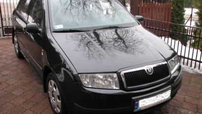 Skoda Fabia I Hatchback 1 2 I 64km 47kw 2003 2007 Dane Techniczne Autocentrum Pl