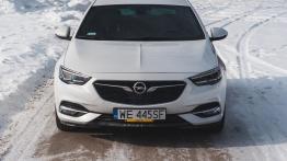 Opel Insignia 2.0 Turbo 260 KM - galeria redakcyjna - widok z przodu