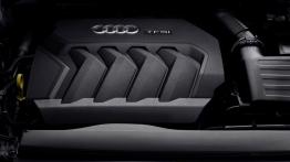 Audi Q3 Sportback - silnik