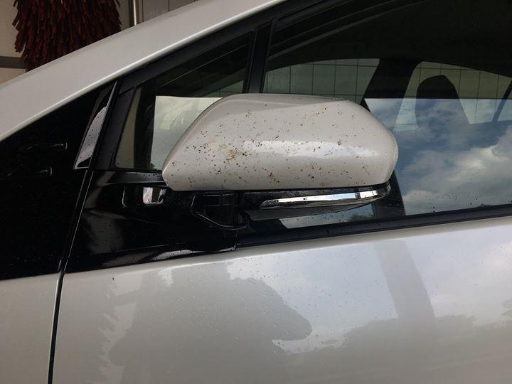 Myjnia #Carwash #Fail #Toyota #Prius #Pluginhybrid - Newsy Live • Autocentrum.pl