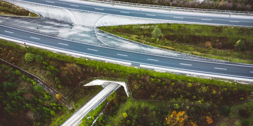 Nowy łącznik A4 pod Wrocławiem za 1,96 mln zł. Ma odciążyć ruch