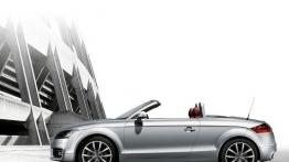 Audi TT 8J