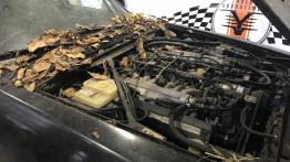 Retro Motor Show 2019 – kiedyś było lepiej?