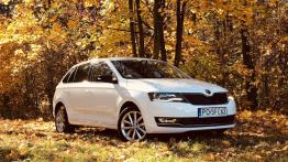Skoda Rapid Spaceback 1.0 TSI 95 KM - galeria redakcyjna - widok z przodu
