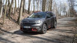 Citroen C5 Aircross 2.0 BlueHDI 178 KM - galeria redakcyjna - widok z przodu