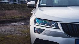 Skoda Karoq - galeria redakcyjna