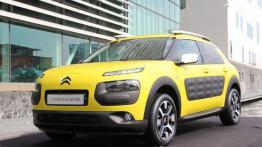 Citroen C4 Cactus - galeria redakcyjna - widok z przodu