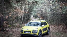 Citroen C4 Cactus 1.2 PureTech 82KM - galeria redakcyjna - widok z przodu
