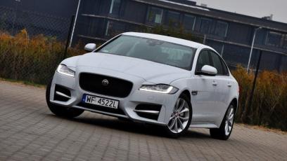 Jaguar XF (2016) - galeria redakcyjna