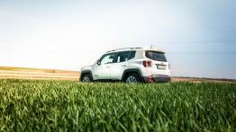 Jeep Renegade 1.4 MultiAir 140KM - galeria redakcyjna - lewy bok