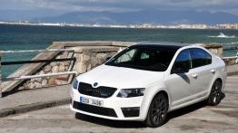 Skoda Octavia III RS i 4x4 - galeria redakcyjna - widok z przodu