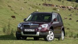 Skoda Yeti w Odessie - galeria redakcyjna - widok z przodu