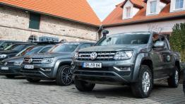 Volkswageny Użytkowe – auta, które się nie poddają!