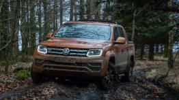 Volkswageny Użytkowe – auta, które się nie poddają!