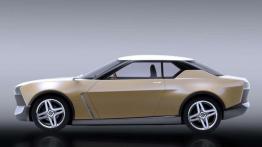 Nissan iDX Freeflow trafi do seryjnej produkcji?