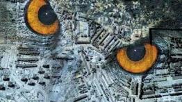 Telematyka w służbie motoryzacji