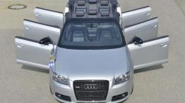 Audi A3 Cabrio - Niemiecki jamnik
