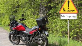 Suzuki V-Strom 650XT - niestrudzony podróżnik