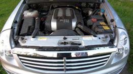 Najładniejsze z brzydkich kaczątek