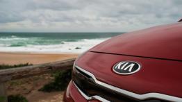 Nowa Kia Rio – „karnawałowy” hatchback