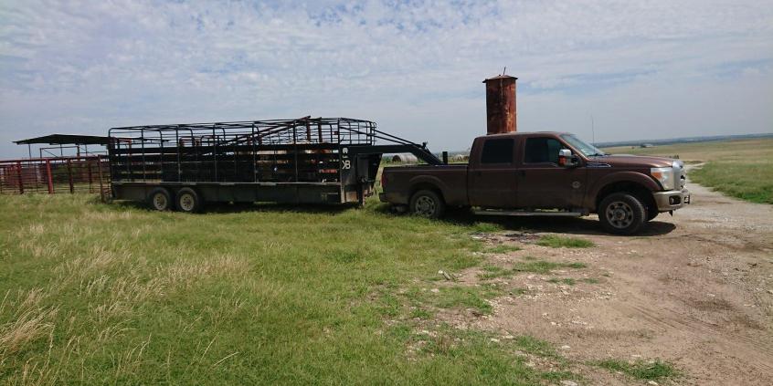 Ford F-250 Super Duty – do ciężkich zadań! Test prawdziwego amerykańskiego pick-upa