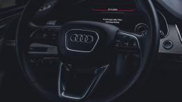 Audi Q7 II (4M) e-tron