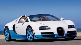 Bugatti Veyron Grand Sport Vitesse Special Edition - widok z przodu