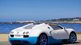 Bugatti Veyron Grand Sport Vitesse Special Edition - widok z tyłu