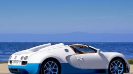 Bugatti Veyron Grand Sport Vitesse Special Edition - widok z tyłu