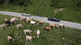 BMW Z4 Final Edition